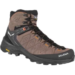 MEN'S ALP TRAINER 2 MID GTX