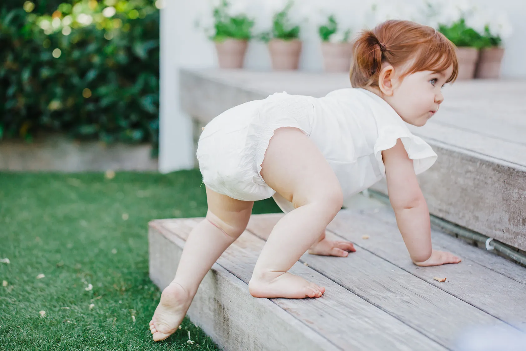 Terra Plant-Based Diapers